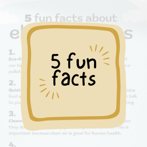 5 fun facts