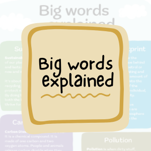 Big words explained