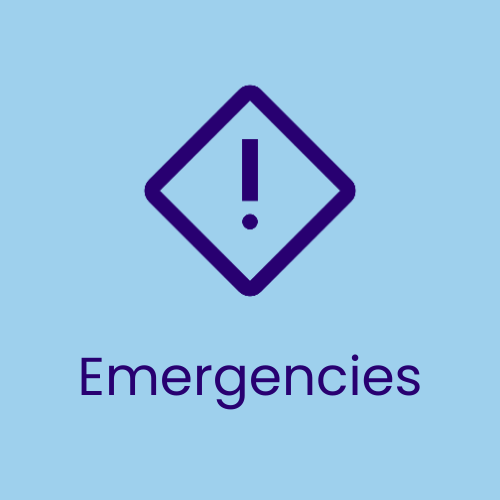 Emergencies icon