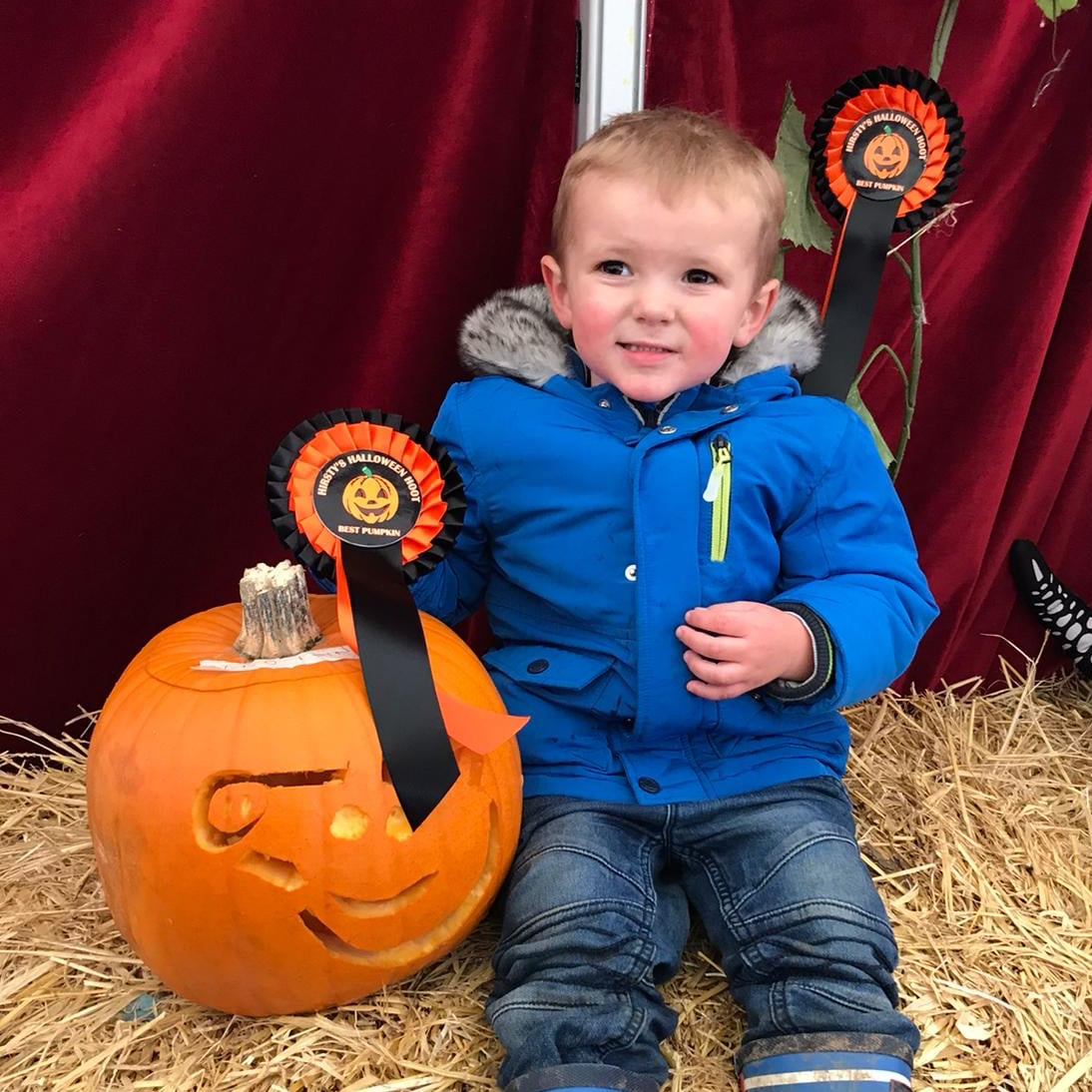 Hirstys photograph child with pumpkin and rosettes