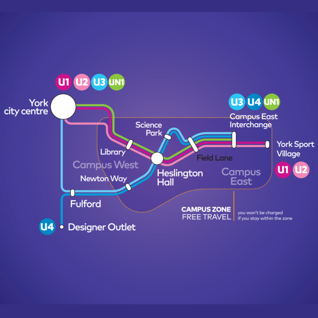 York network diagram