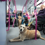 First Bus working with RNIB to help customers hard of sight